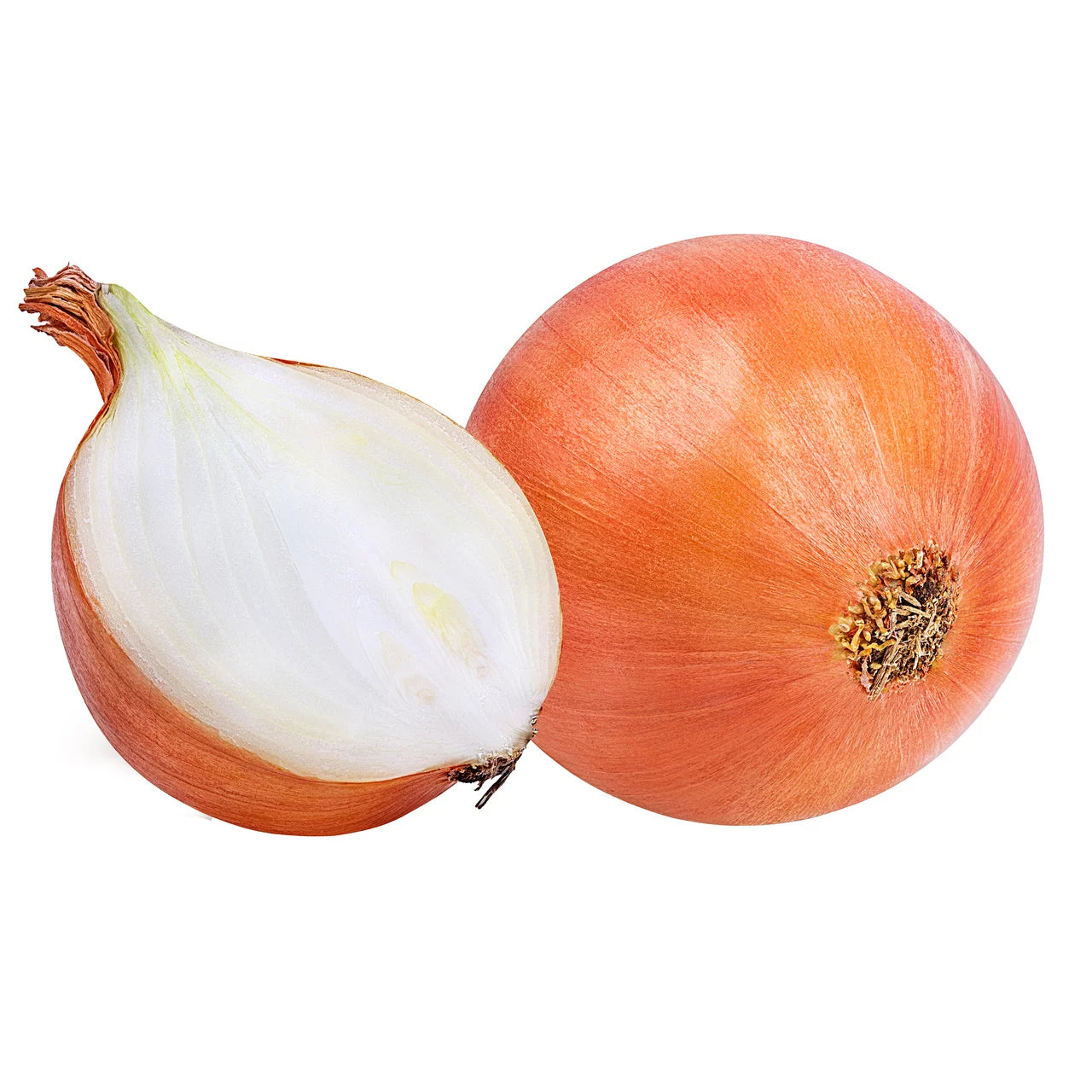 Cebolla blanca
